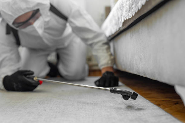 Professional Ant Control technician working in Eagle Pass, TX