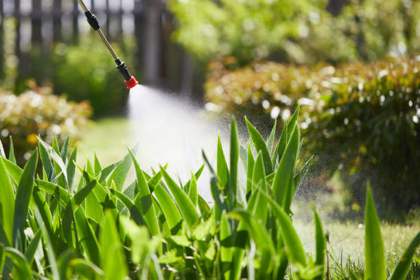 24/7 Emergency Wasp Removal experts in Eagle Pass, TX